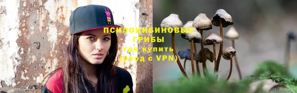 СК Вязники