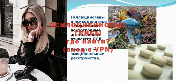 индика Валдай
