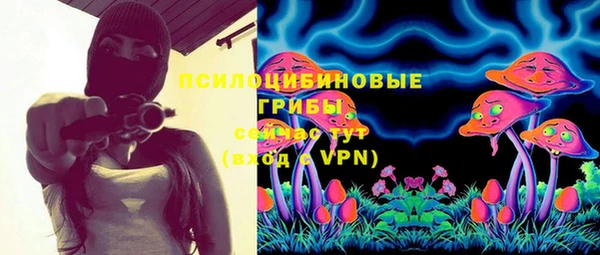 СК Вязники