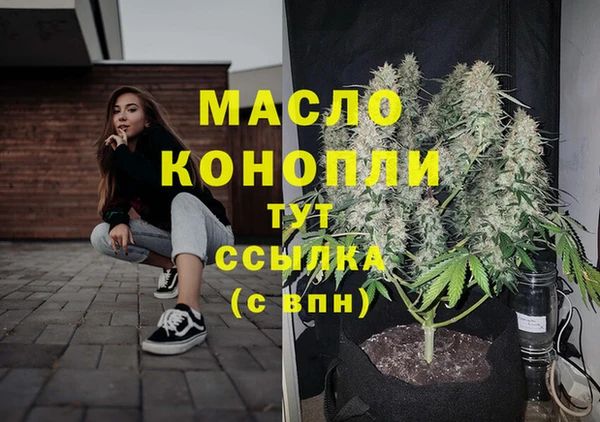 индика Валдай