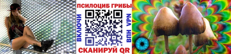 МЕГА как зайти Елец Галлюциногенные грибы ЛСД
